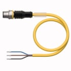 TURCK - Aktuator- und Sensorleitung / PVC, Anschlussleitung