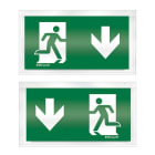 ESYLUX - Zweiseitige Piktogramm-Scheibe SLX 24 DISPLAY SYMBOL 2-SIDE DOWN
