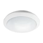 ESYLUX - Wand- und Deckenleuchte ALMA WCL 300 OP 1600 830 IP65