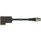 MURRELEKTRONIK - M12 St. ger. auf MSUD Ventilst. BF C 8,0 mm