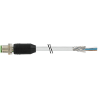 MURRELEKTRONIK - M12 St. ger. geschirmt mit freiem Ltg.-ende
