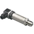 JUMO - JUMO dTRANS p30 Druckmessumformer