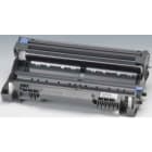 BROTHER - Trommeleinheit DR-3100