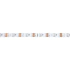 PROLED - PROLED FLEX STRIP DIGITAL 30, 5 VDC, IC: WS2813, 150 lm/m, RGB, /m