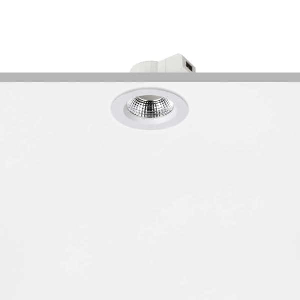 PROLED - PROLED ACTOR, 220 - 240 VAC, 2900 lm, 3000 K bis 4000 K, rund, Refl.: ohne