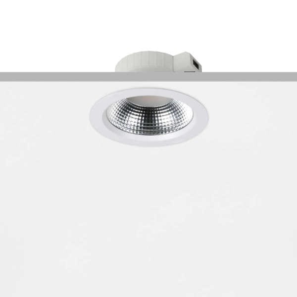 PROLED - PROLED ACTOR, 220 - 240 VAC, 2600 lm, 3000 K bis 4000 K, rund, Refl.: ohne