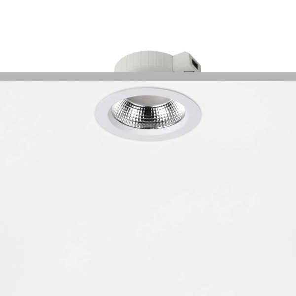 PROLED - PROLED ACTOR, 220 - 240 VAC, 2600 lm, 3000 K bis 4000 K, rund, Refl.: ohne