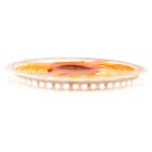 AUTLED - LED Flexstrip 115 Dynamic White IP44 INDOOR CRI/RA 90+