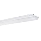 SPEKTRA LED - Animo PC 22W 1.2m 230VAC/DC 3.050lm 3p-DV 840 120° IP66 IK10