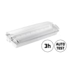 SPEKTRA LED - Notleuchte 4W 230VAC 150lm 860 180° IP65 SKII IK02 +5 Pikto