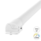 SPEKTRA LED - 24W 1.1m 230VAC 4.320lm 2p0.75mm² 8X0 120° SKII IK06 ND opal wei