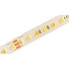 SPEKTRA LED - LED Streifen 14.4W/m 5m 24VDC 1.000lm/m 4p 846 120° SKII DIM