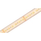 SPEKTRA LED - LED Streifen 19.2W/m 5m 24VDC 2.112lm/m 3p 8XX 120° DIM