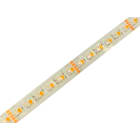 SPEKTRA LED - LED Streifen 23W/m 5m 24VDC 967lm/m 4p 830 120° SKII DIM