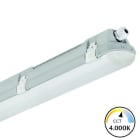 SPEKTRA LED - STRUKTA WB ABSC 44W 1,5M 840 DV - 81010640