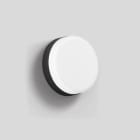 BEGA - Wandleuchte, für den Innen- & Außenbereich, Grafit 3000 K
