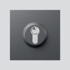 SIEDLE - Schloss-Modul SM 611-01 DG, dunkelgrau-glimmer