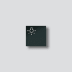 SIEDLE - Licht-Taste mit Symbol TLM 611/612-01,, BTLM 650 SH, schwarz-hochglanz