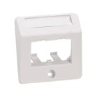 PANDUIT - Zentralplatte 50x50mm mit Tragring, 2-Port, RAL9010