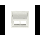 PANDUIT - NK,2Pt,SG,Sloped,FaceplateKit,AW,EA