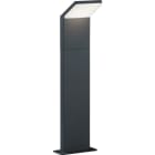 TRIO LEUCHTEN - 3000K/900Lm,H.50cm,Aluguss anthrazit
