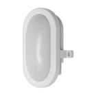 LEDVANCE - Ovalleuchte- LED BULKHEAD 6 W 4000 K WT