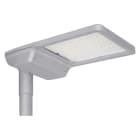 LEDVANCE - STREETLIGHT FLEX LARGE 1DIM 115W 740 RW35ST 1DIM WA