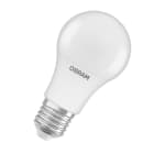 LEDVANCE - LED STAR CLASSIC A für LOW VOLTAGE 6.5W 840 12-36V Frosted E27