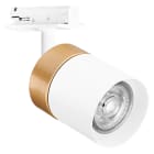 LEDVANCE - Tracklight Spot Cylinder gold GU10 white