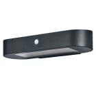 LEDVANCE - Endura Style solar WALL Sensor Wall Sensor 6W 4000K