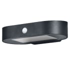 LEDVANCE - Endura Style solar WALL Sensor Wall Sensor 4W 3000K