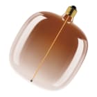 LEDVANCE - VINTAGE 1906 LED DECORATIVE BULB WITH FILAMENT-MAGNETIC STYLE DIMMABLE 4.8W 818 Tea Brown E27