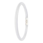 LEDVANCE - LED T5 FC EXTERNAL P 11.6W 865 2GX13