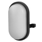 LEDVANCE - Bulkhead CCT CCT Black