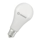 LEDVANCE - LED CLASSIC A  V 19W 865 Frosted E27