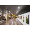 Miniaturansicht Milieubild 5