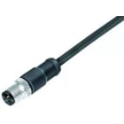 BINDER - M12 Kabelstecker, Polzahl: 8, mit Kabel, IP67, UL, PUR, 8 x 0,25 mm², 2 m, EMV