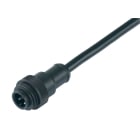 BINDER - RD24 Kabelstecker, Polzahl: 6+PE, PVC, schwarz, 7 x 0,75 mm², 2 m