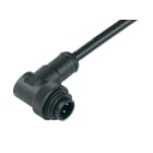 BINDER - RD24 Winkelstecker, Polzahl: 3+PE, PVC, schwarz, 4 x 1,50 mm², 2 m