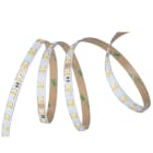 OPPLE - LEDStrip-P 12W-1000-TW-IP20