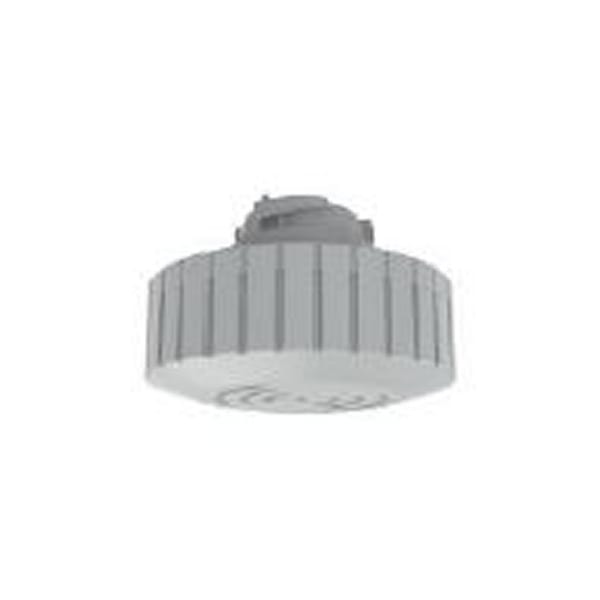 TEMPLED - HF/MW-Bewegungssensor passend für alle RayProof Lite