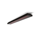 HEATSCOPE - Glasheizstrahler Vision 3200W Korpus schwarz Front schwarz