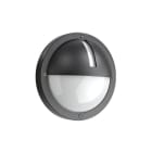 SG LEUCHTEN - UNO graphit E27 CFL