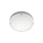 SG LEUCHTEN - EVJE 12W LED 3000K, weiß-matt