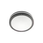 SG LEUCHTEN - EVJE 12W LED 3000K, graphit