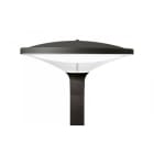 SG LEUCHTEN - PLACE 28W LED 3000K Ra>80 CD, schwarz