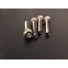 SG LEUCHTEN - ANTI-VANDALISMUS-Kit (4 Schrauben M5x25)
