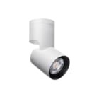 SG LEUCHTEN - ANETO MINI S WEISS 570LM 3000K RA>90 PHASENABSCHNITT