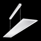 PERFORMANCE IN LIGHTING - LED-Pendelleuchte 4000K 53W DALI Mikroprisma d+i