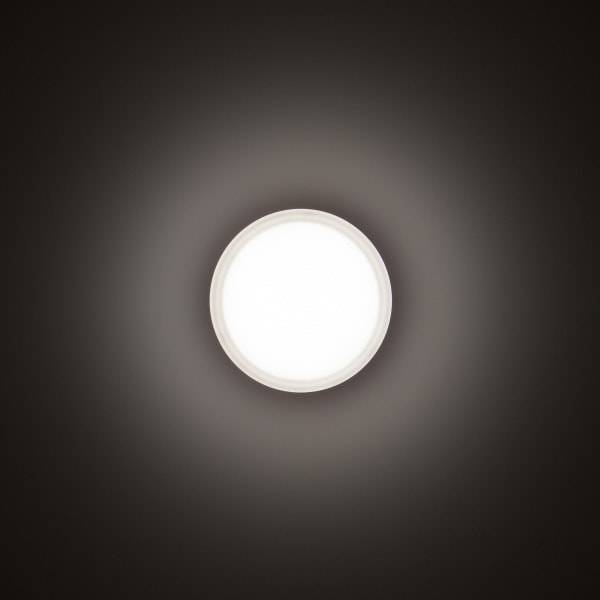 PERFORMANCE IN LIGHTING - LED-Wand- und Deckenleuchte 4000K 11W statisch sym. extrabreite Streuoptik
